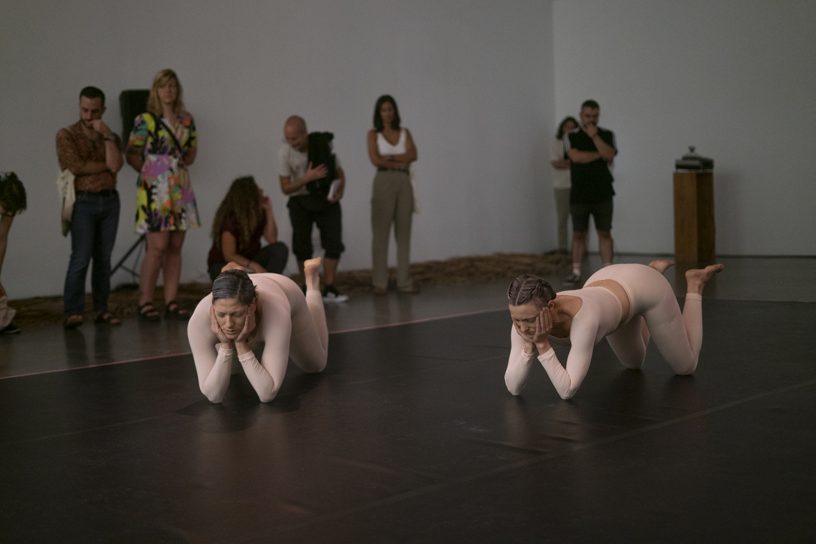 CRUDO image 15