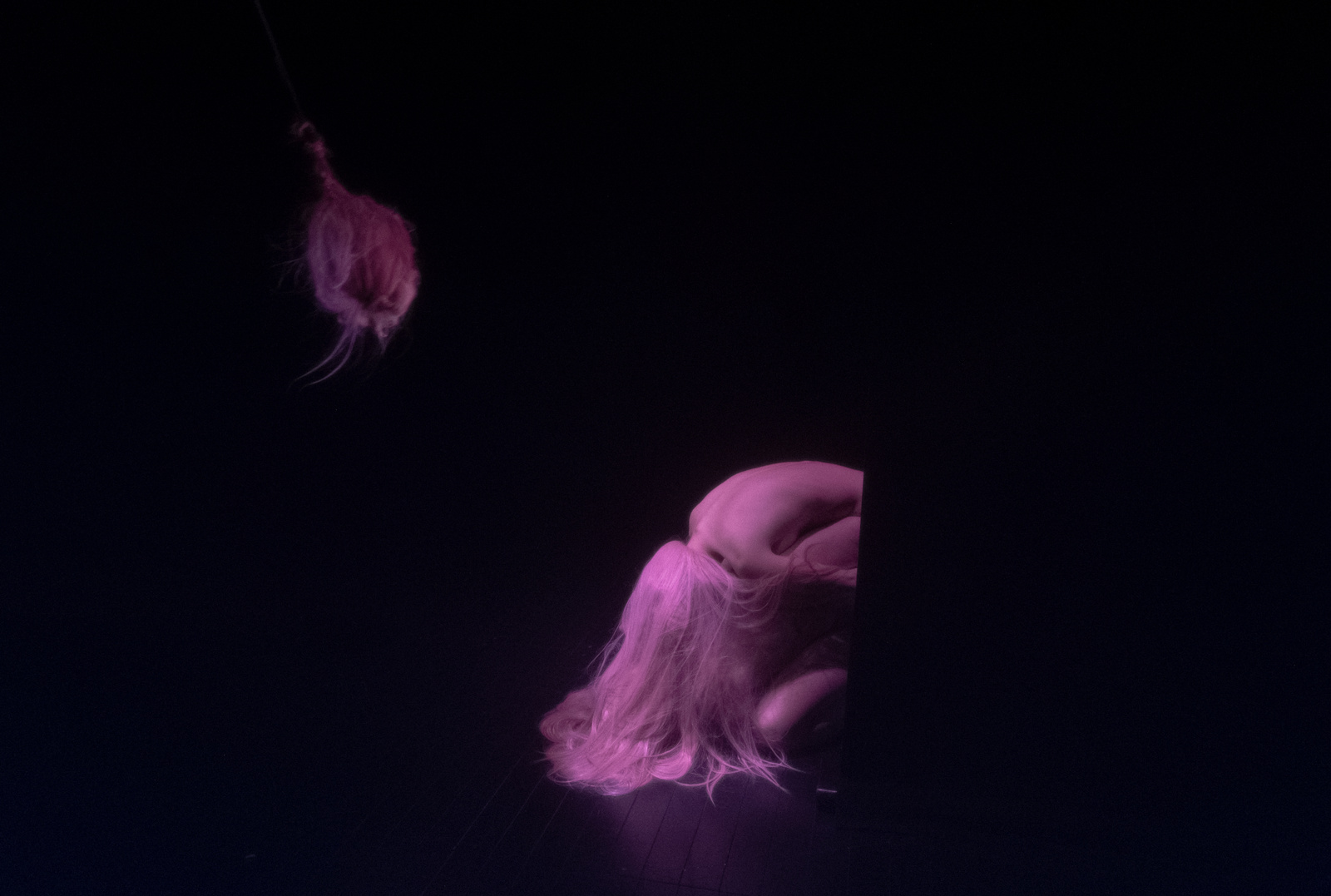 Landscape Within Landscape: 2. Lo Animal image 1