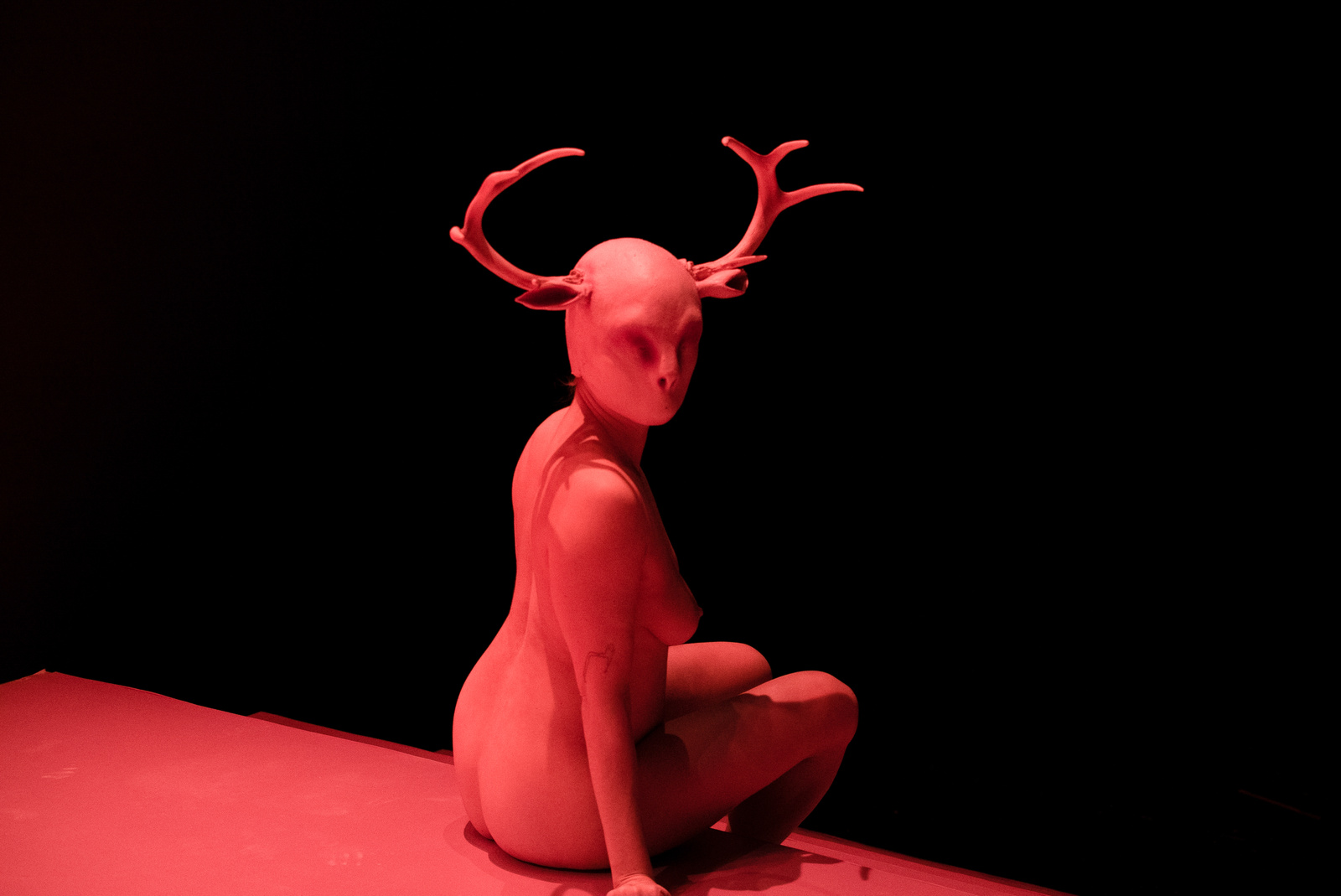 Landscape Within Landscape: 1. Sacrificio image 2