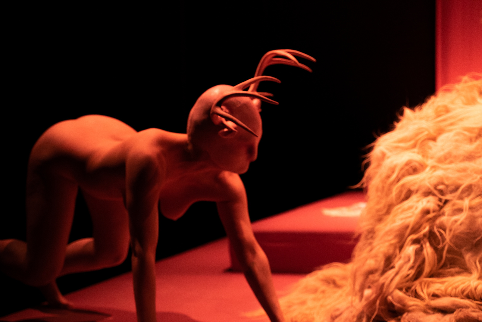 Landscape Within Landscape: 1. Sacrificio image 7